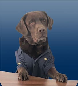 Picture of Lola
