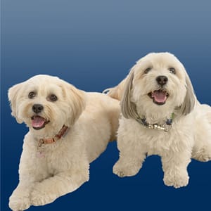 Picture of Marley und Lana