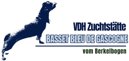 Logo Tine's Hundezucht und Hundebetreuung der VDH Zuchtstätte vom Berkelbogen – Basset Bleu de Gascogne in Vreden